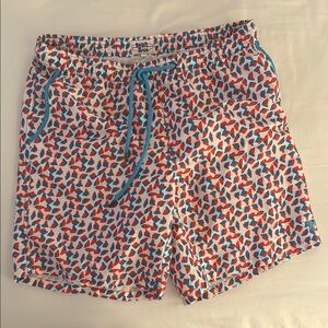 Men's Multicolor Swim Shorts